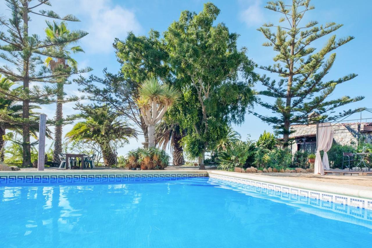 Estudio Cardon Arona (Tenerife)