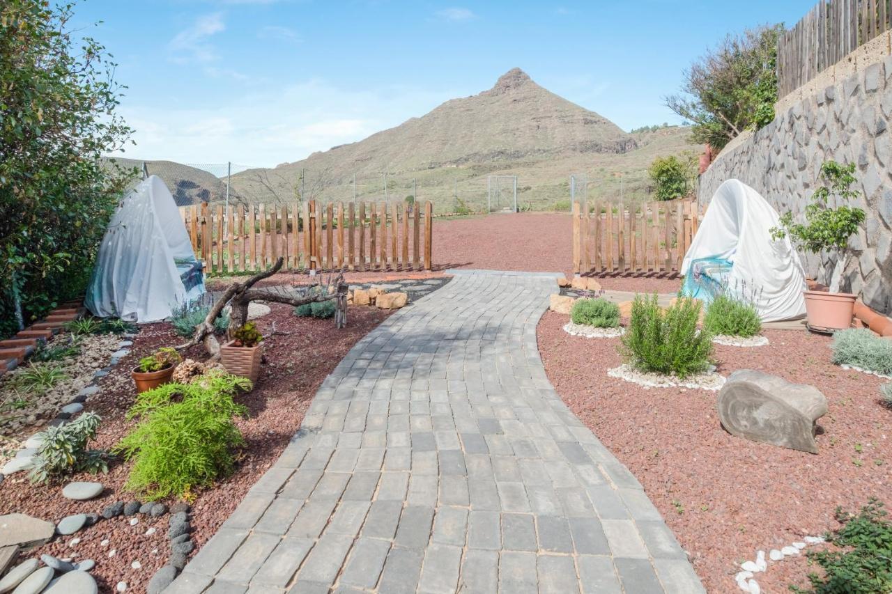 Estudio Cardon Arona (Tenerife)